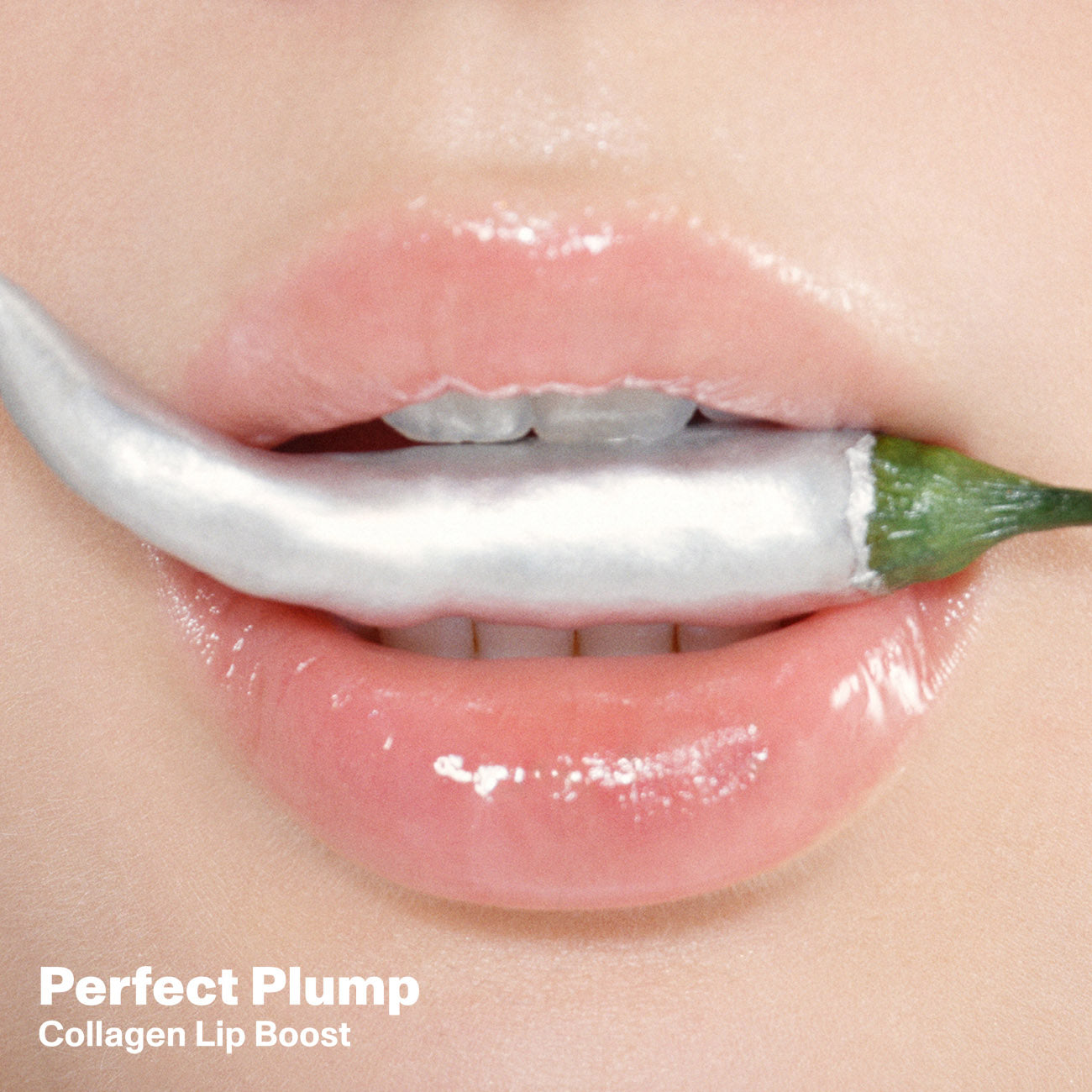 Perfect Plump Close Up
