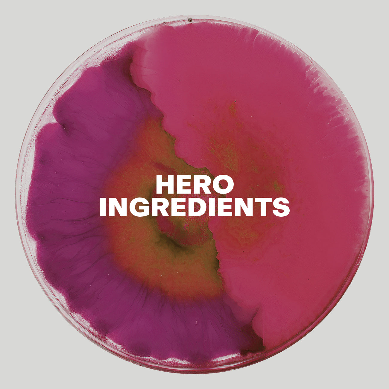 Hero Ingredients der neuen DR. EMI getönten Lippenpflegen